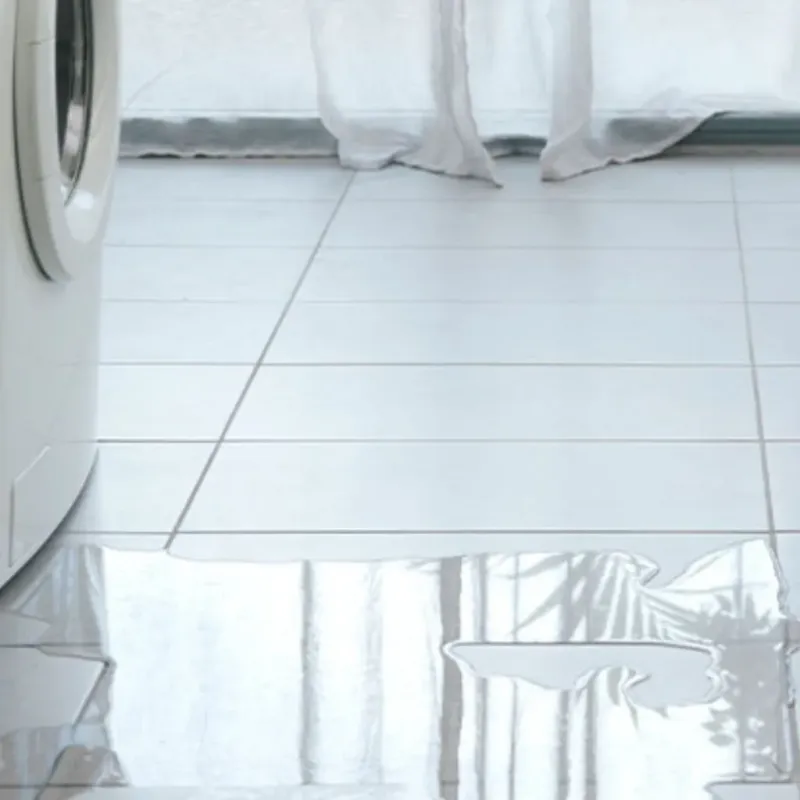 Appliance Leak Cleanup in Knox County, IL
