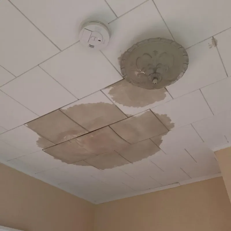 Ceiling Water Damage Repair in Knox County, IL