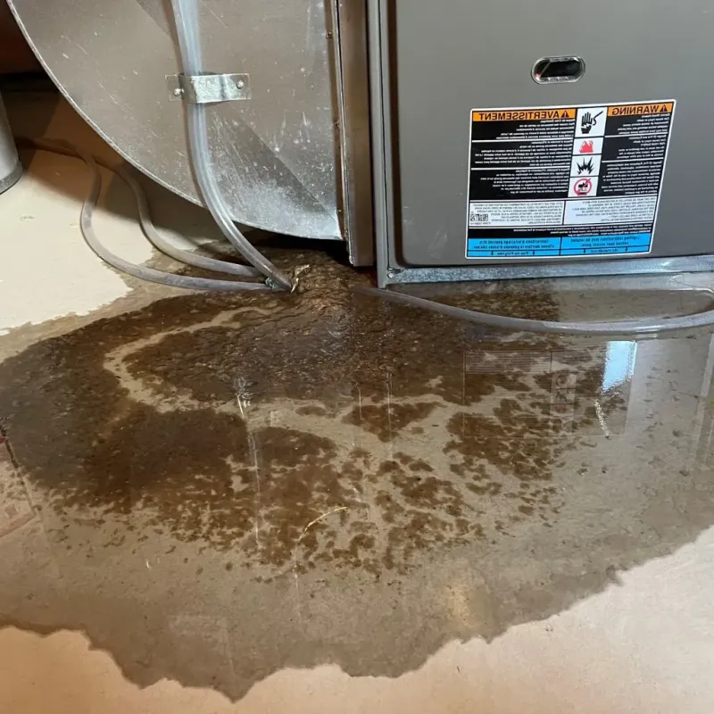 Pipe Burst and Leak Restoration in Knox County, IL