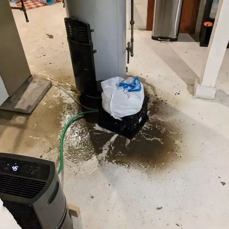 Sewage Backup Cleanup Service in Knox County, IL